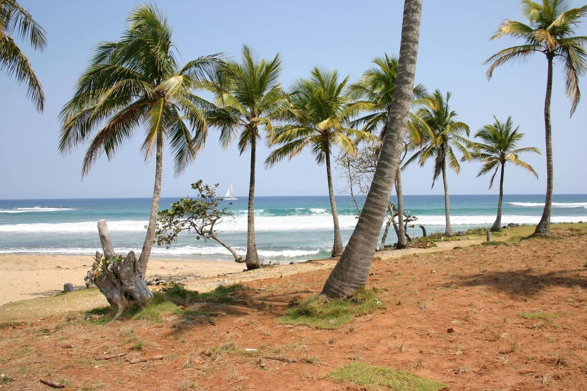 Hostel Slabdr Coliving, Once Surf Salvacion Cabarete Zewnętrze zdjęcie